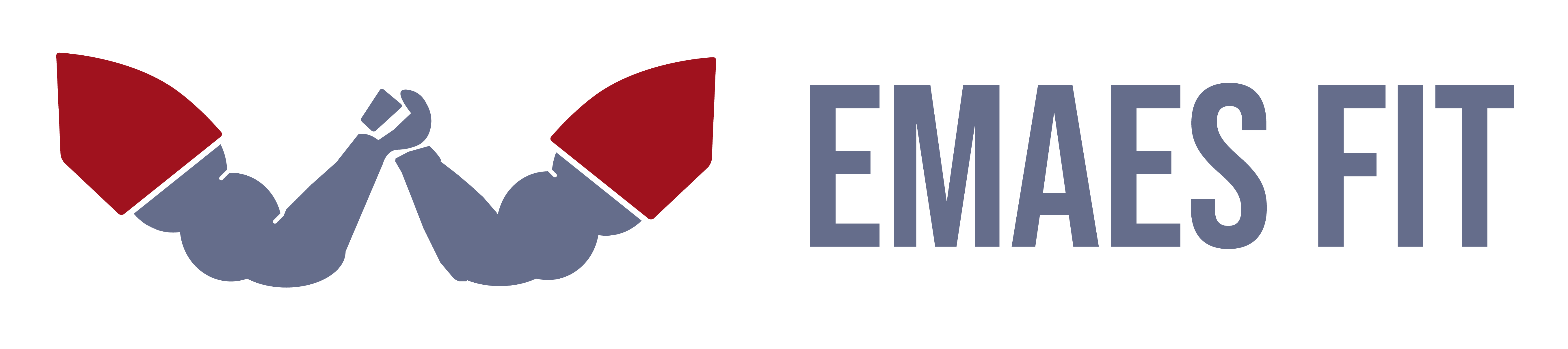 Emaes Fit logo