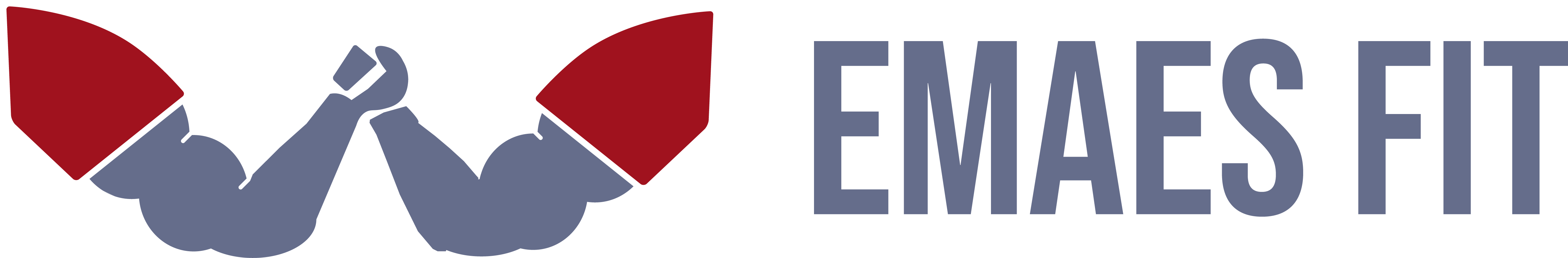 Emaes Fit logo